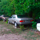 Image for article titled Two Years and 180 Cars Later, Michigan Man Forced to Sell 20 Cars A Month Has Eight Days To Clear His Lot
